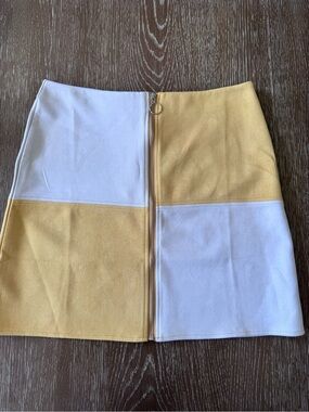 Dry Goods Colorblock Yellow & White Mini Skirt with Front Zip